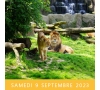 ZOO D'ANVERS