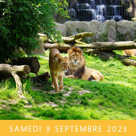 ZOO D'ANVERS