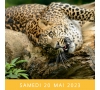 KARTING ET ZOO DE MAUBEUGE